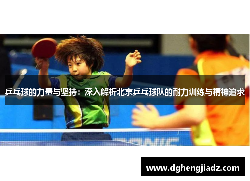 乒乓球的力量与坚持：深入解析北京乒乓球队的耐力训练与精神追求